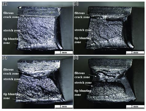 dropping bullry on metal surface to test|High.